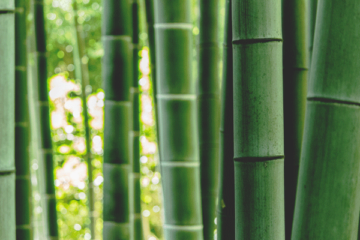 is bamboo waterproof